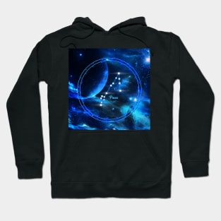 Golden zodiac pisces star sign Hoodie